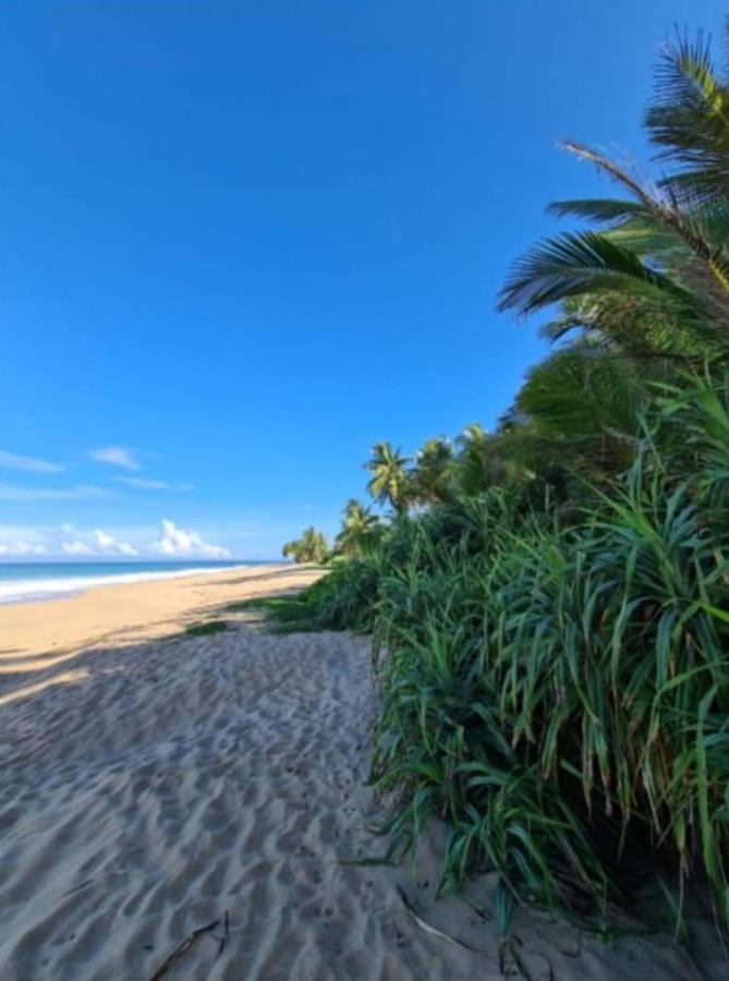 Hotel Bounty Ambalangoda  Bagian luar foto